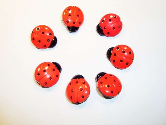 10 ladybird buttons medium 32L size18mmx20mm