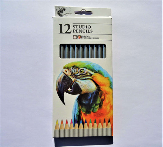 Pack of 12 Artist pencils Studio assorted colours