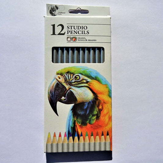 Pack of 12 Artist pencils Studio assorted colours